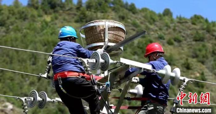 國網(wǎng)青海電力:三江源4000多個(gè)“人工鳥巢”實(shí)行一體化管理