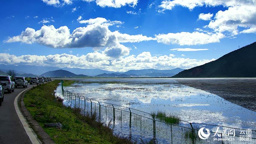 納帕海濕地。呂昊辰攝