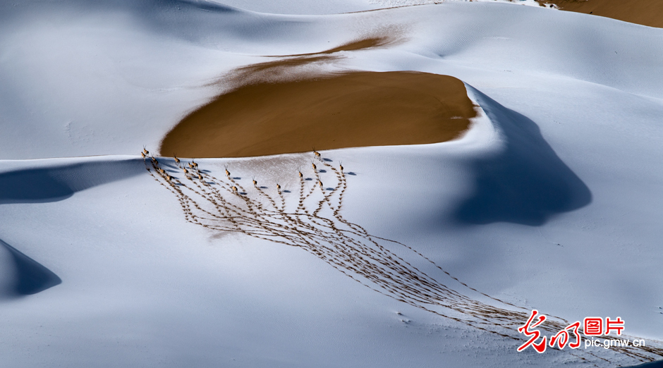 三江源國家公園正式設(shè)立，這是青海生態(tài)文明建設(shè)的新答卷