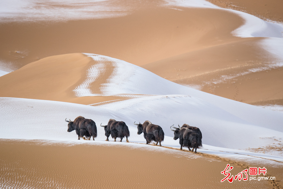 三江源國家公園正式設(shè)立，這是青海生態(tài)文明建設(shè)的新答卷