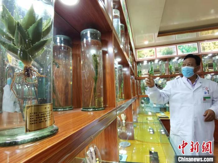 甘肅省甘南藏族自治州碌曲縣藏醫(yī)院副院長(zhǎng)看照加近30年的從醫(yī)工作，堅(jiān)持中藏醫(yī)特色優(yōu)勢(shì)相結(jié)合診療方法。　張婧 攝