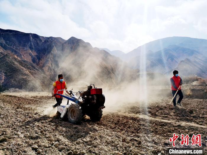 圖為拖拉機(jī)在山地犁地。　張?zhí)砀?攝