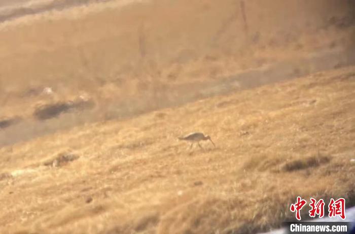 隆寶國(guó)家級(jí)自然保護(hù)區(qū)鳥類名錄增加到134種