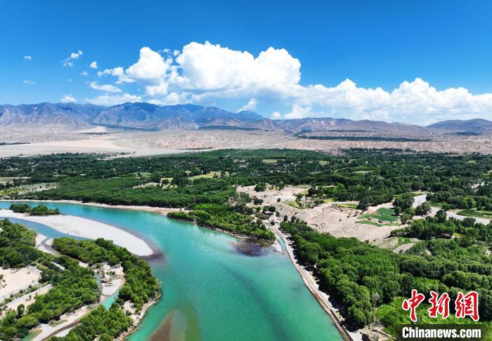 航拍貴德縣黃河岸畔綠意盎然?！●R銘言 攝