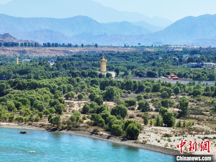 航拍貴德縣黃河岸畔綠意盎然。　馬銘言 攝