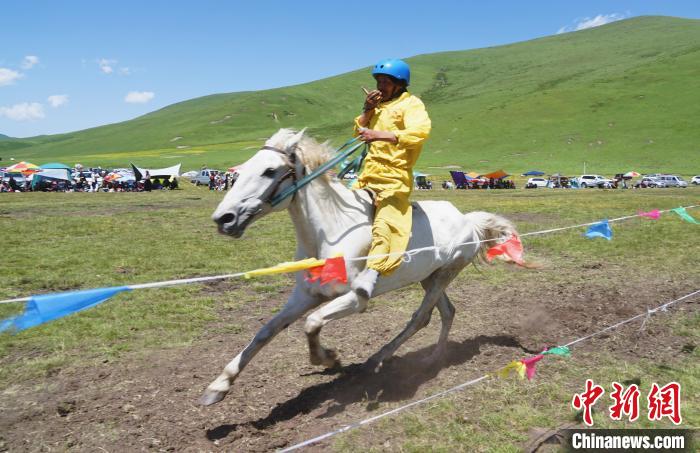 圖為選手進(jìn)行3000米賽馬比賽。　馬銘言 攝