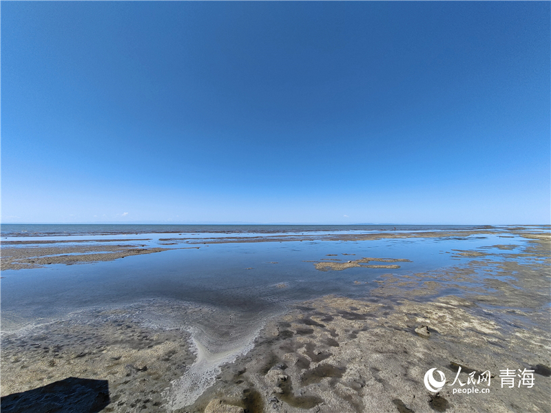   青海湖仙女灣。人民網(wǎng) 張莉萍攝