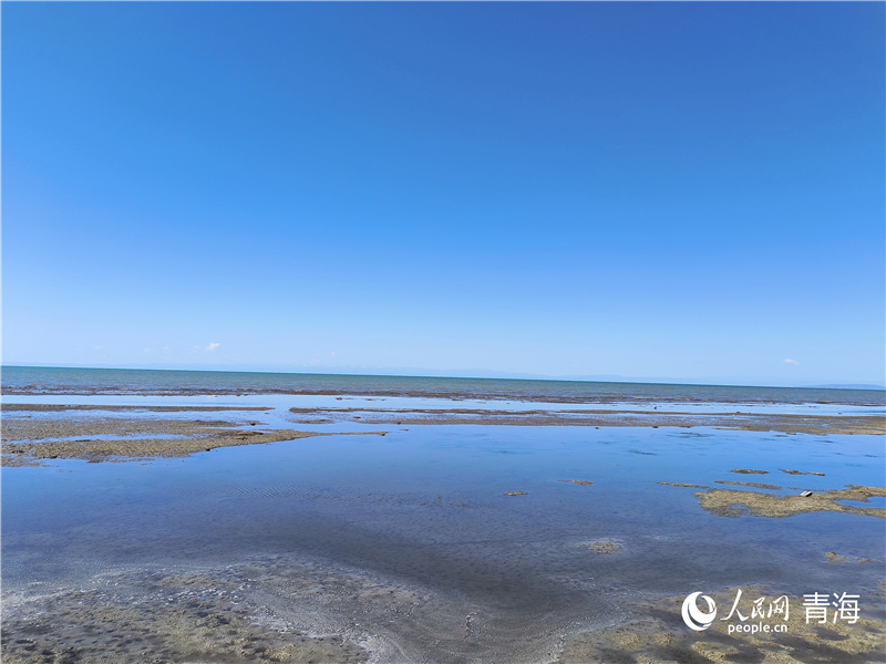   青海湖仙女灣。人民網(wǎng) 張莉萍攝