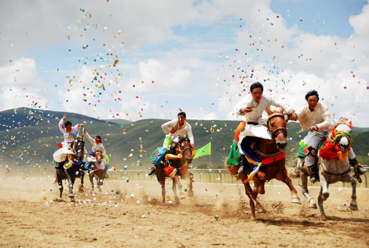 草原賽馬。阿壩州新聞傳媒中心供圖