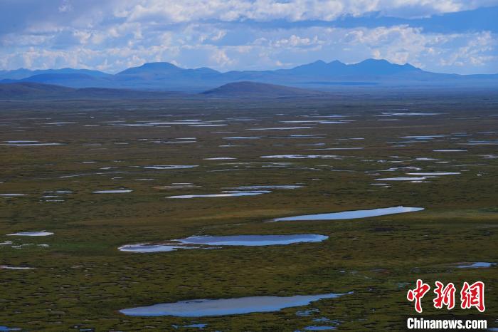 圖為查旦濕地?！●R銘言 攝