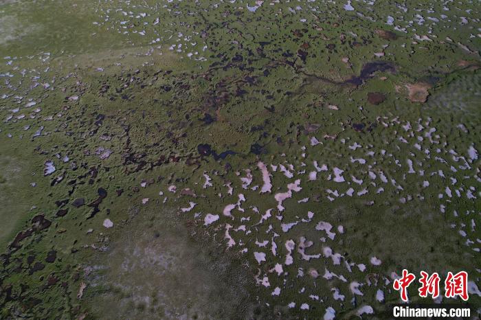 航拍查旦濕地?！●R銘言 攝