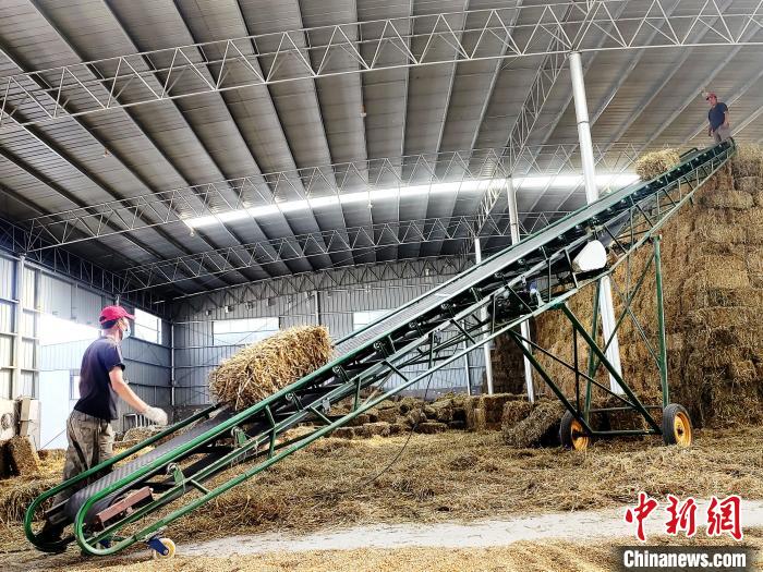 圖為飼草打捆、儲(chǔ)存?！●R芝芬 攝