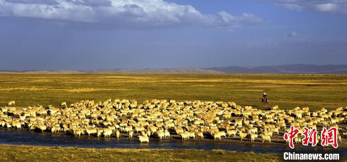 青?，敹唷鞍渍渲椤弊尠傩斟X袋鼓起來