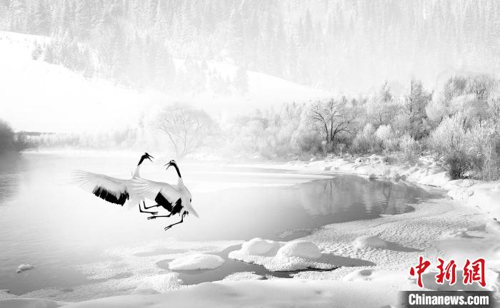 圖為焦生福的作品《鶴嬉雪林》?！∏嗪Ｊ∑钸B山自然保護(hù)協(xié)會供圖
