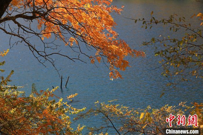 松坪溝風(fēng)光?！⑼?攝