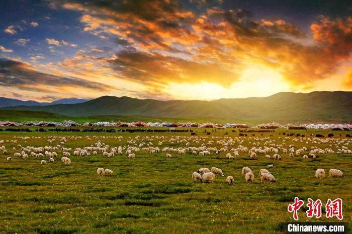 資料圖為青海省玉樹(shù)州稱多縣草原風(fēng)光?！」?攝