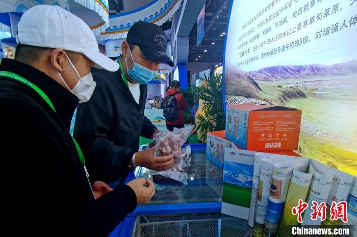 圖為青海參展商整理牛羊肉?！±铍h 攝