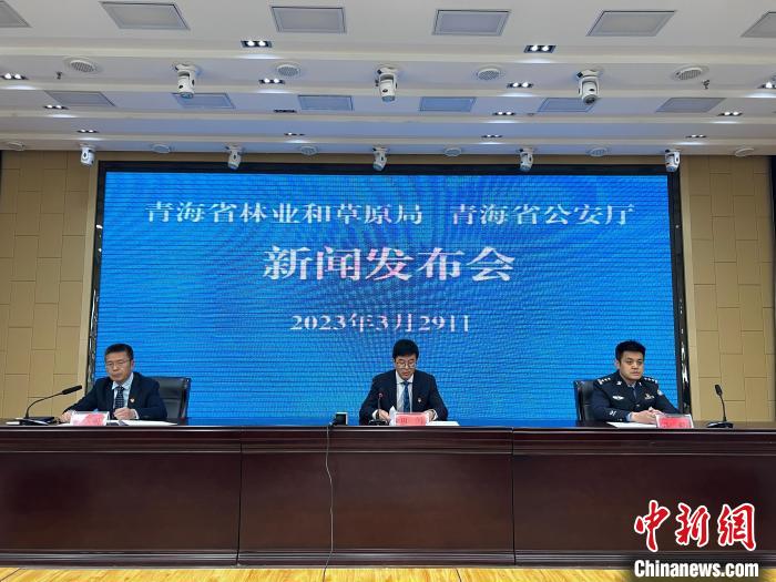 青海去年占用林地、草地準(zhǔn)予許可件同比實(shí)現(xiàn)“雙減”