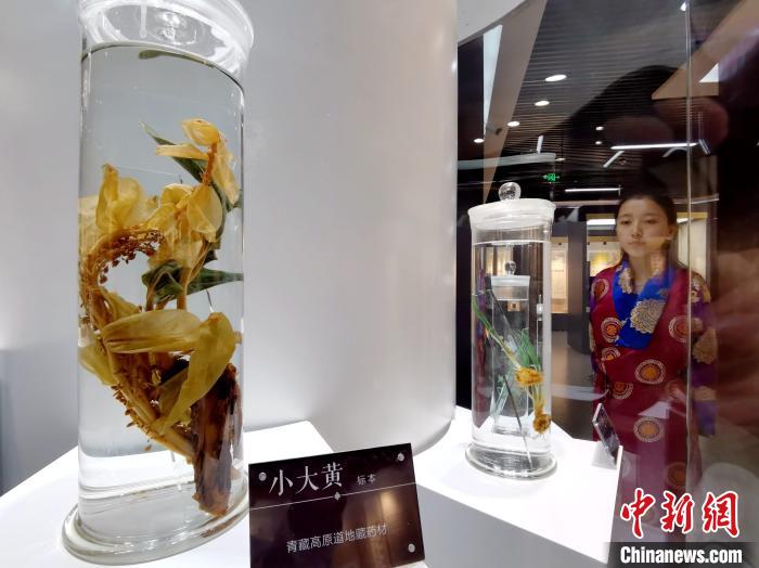 青海中藏醫(yī)藥發(fā)展提速：建設(shè)一批重點(diǎn)?？茖W(xué)科，推廣一批適宜技術(shù)