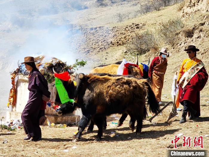 圖為春耕儀式現(xiàn)場?！⊥觖惿?供圖