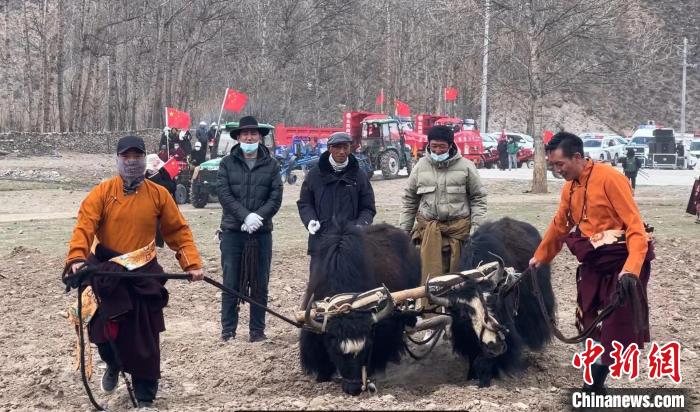 圖為活動現(xiàn)場當?shù)厝罕娬故緜鹘y(tǒng)春耕方式?！±罱瓕?攝