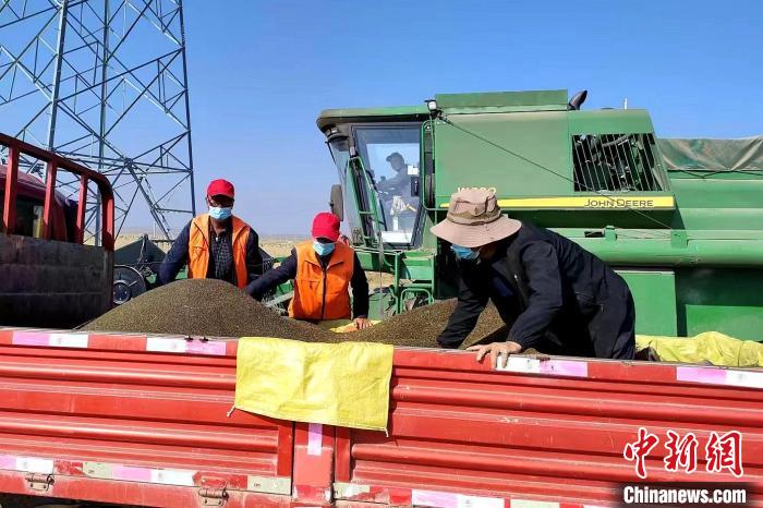 圖為合作社工作人員準(zhǔn)備播種。(資料圖) 張海蓮 攝