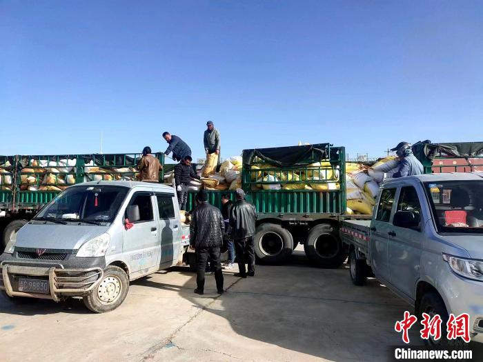 圖為合作社正在拉運(yùn)化肥。(資料圖) 張海蓮 攝