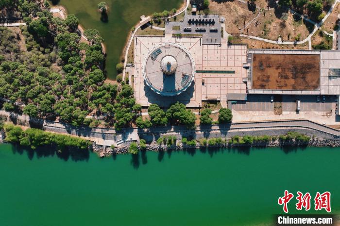 航拍青海貴德黃河岸畔綠意濃濃。　趙凜松 攝