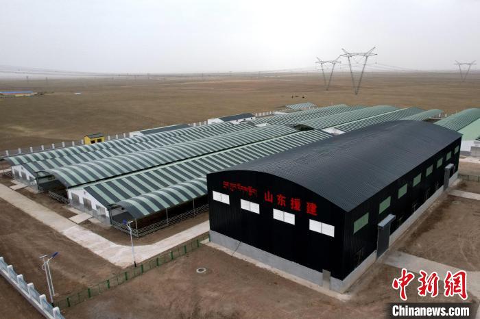 圖為航拍生態(tài)畜牧業(yè)集中規(guī)?；B(yǎng)殖基地。　蔡志睿 攝