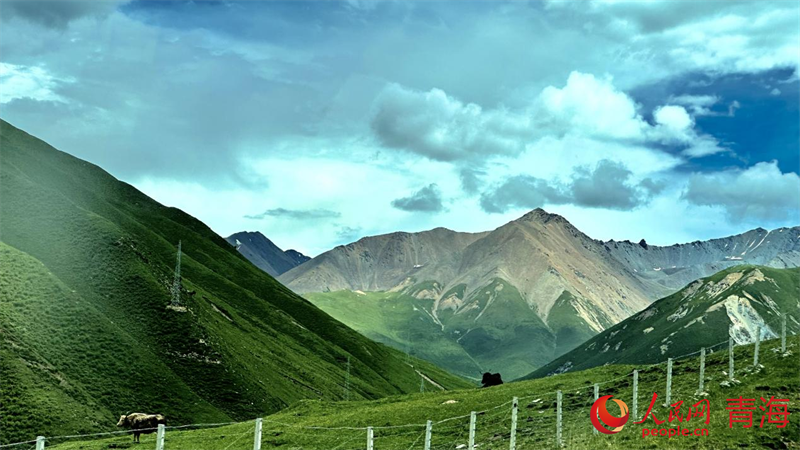 果洛風(fēng)光。人民網(wǎng) 劉沛然攝