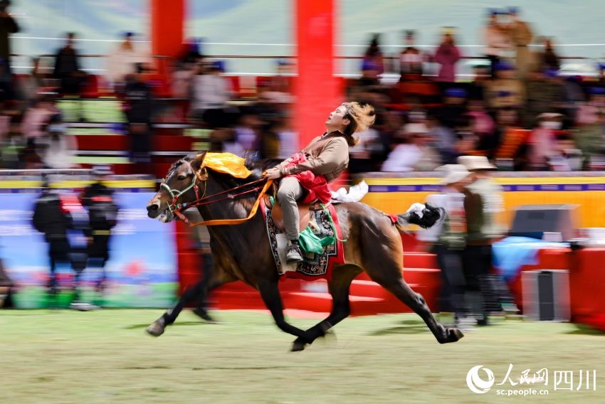 馬術(shù)表演現(xiàn)場(chǎng)。洛絨尼瑪攝