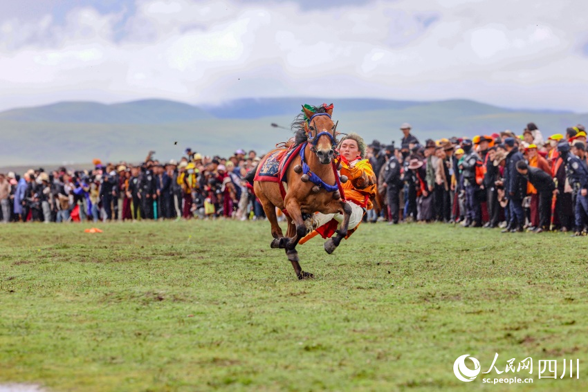 馬術(shù)表演現(xiàn)場(chǎng)。洛絨尼瑪攝