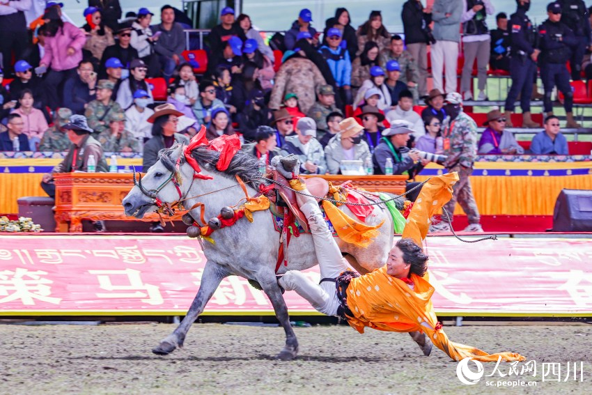 馬術(shù)表演現(xiàn)場(chǎng)。洛絨尼瑪攝