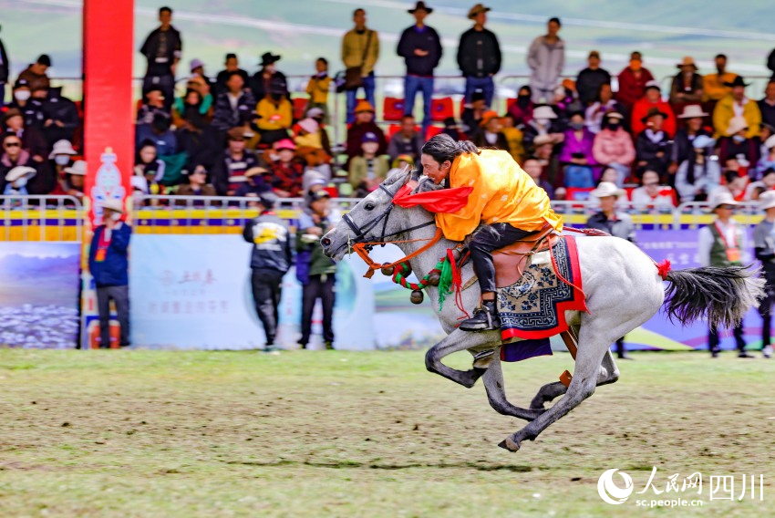 馬術(shù)表演現(xiàn)場(chǎng)。洛絨尼瑪攝