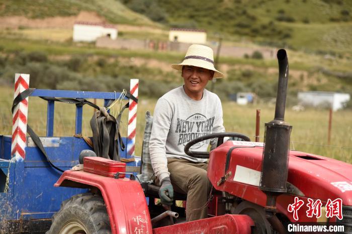 青海囊謙:喜迎秋收,又是一年“豐”景