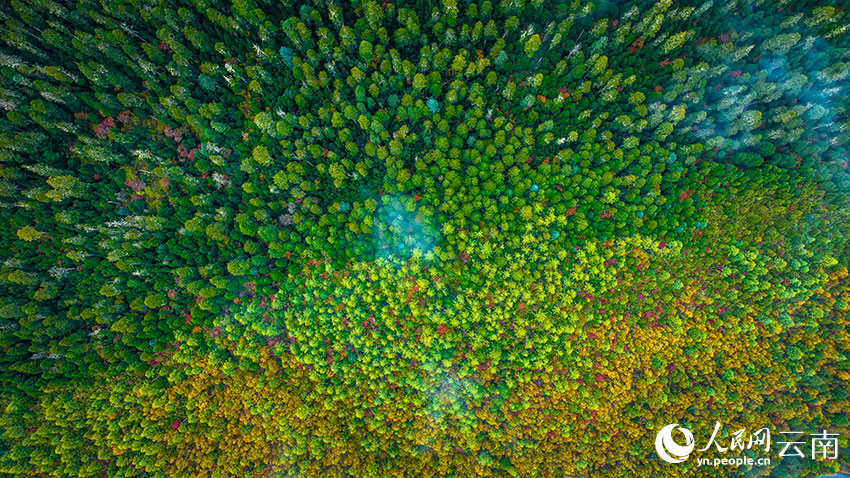 秋日普達(dá)措。格瑪攝