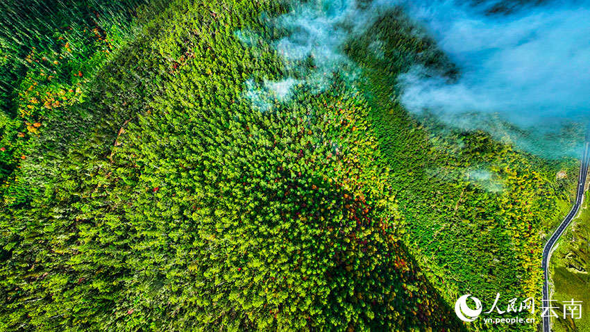 秋日普達(dá)措。格瑪攝