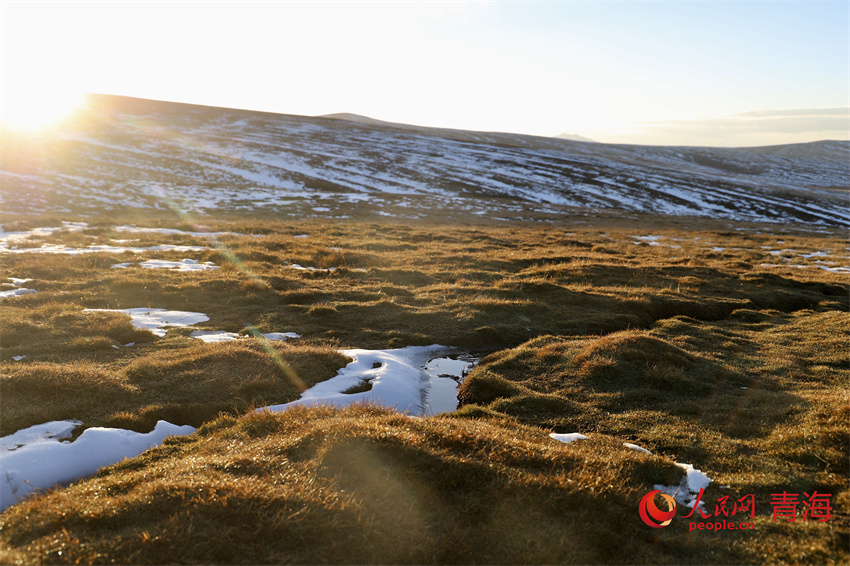 黃河源頭落日余暉。人民網(wǎng) 陳明菊攝