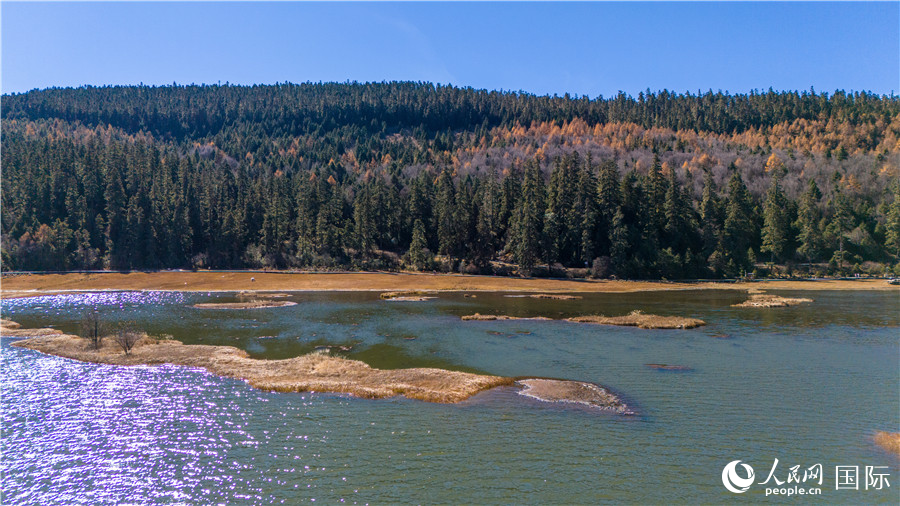 屬都湖畔，層林盡染。人民網(wǎng)記者 虎遵會(huì)攝