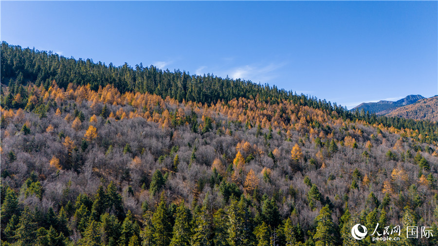香格里拉國(guó)家公園一角。人民網(wǎng)記者 虎遵會(huì)攝