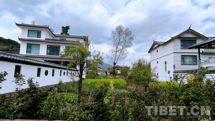 MTXX_MH20240329_081439955.jpg MTXX_MH20240329_081439955.jpg