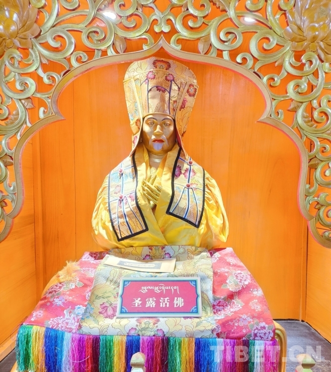 MTXX_MH20240329_081420398.jpg MTXX_MH20240329_081420398.jpg