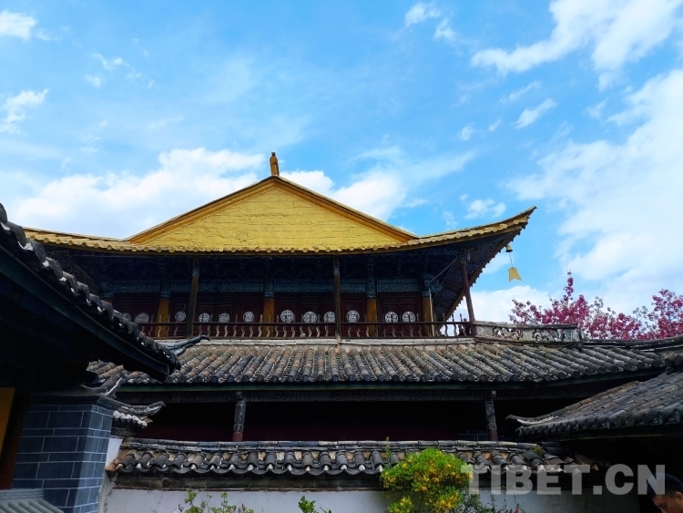 MTXX_MH20240329_093820529 MTXX_MH20240329_093820529