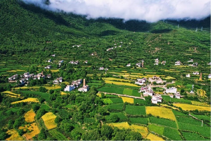 綠色丹巴。丹巴縣委宣傳部供圖