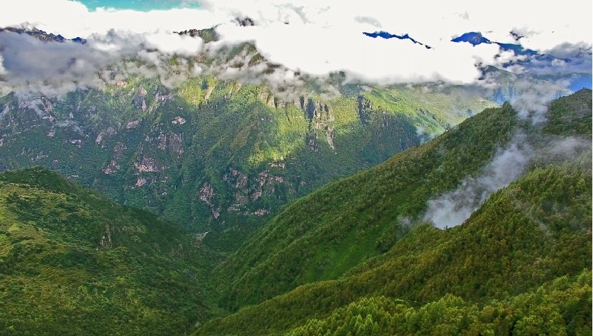 丹巴縣牦牛谷省級(jí)森林公園風(fēng)光。丹巴縣委宣傳部供圖