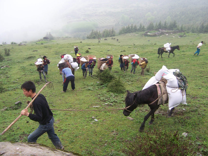在黃河上游補(bǔ)播牧草。阿壩州委宣傳部供圖