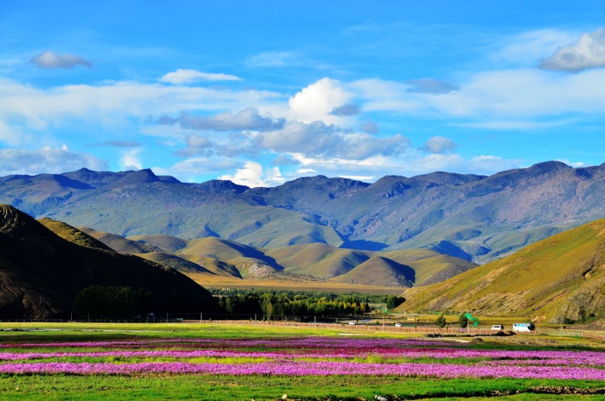 稻城風(fēng)光。稻城縣委宣傳部供圖