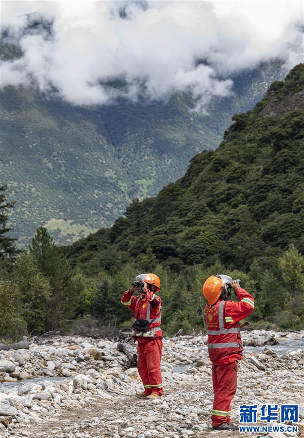(圖文互動(dòng))(4)從坐吃山空到護(hù)林守山——西藏林芝為雪域高原獻(xiàn)上“綠色哈達(dá)”