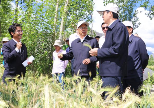 全國表彰大會(huì)上，為什么只有他沒到？