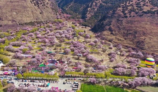世外桃源！一組圖告訴你，西藏林芝桃花能有多美